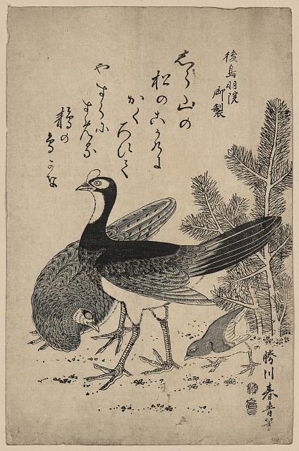 LOC00159・・春青「後鳥羽院御製」