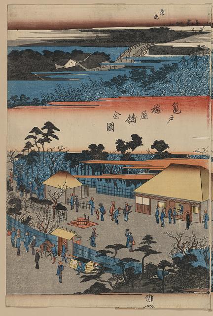 「亀戸梅屋鋪全図」
