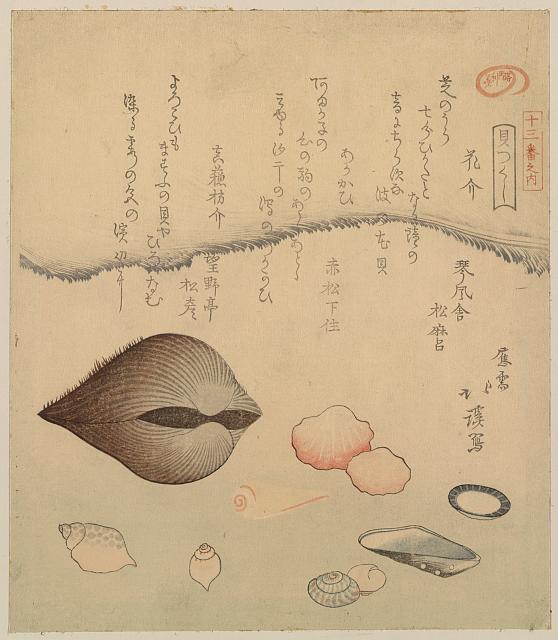 「貝つくし」「十三番之内」 「花介」