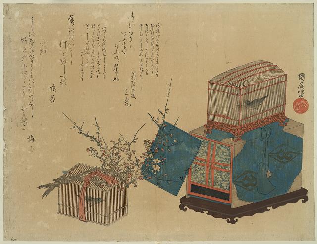 「(中村松治郎改 三光 襲名披露}」