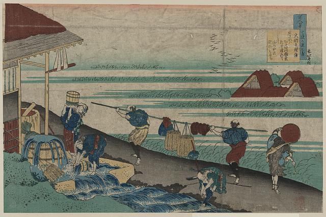 「百人一首う波かゑとき」 「大納言種信」