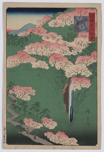 「諸国名所百景」 「大和よし野山」