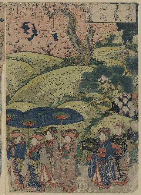「上野東叡山花盛之図」