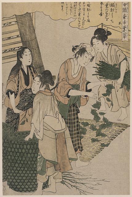 「女織蚕手業草」「五」