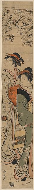 LOC00553・・清長
